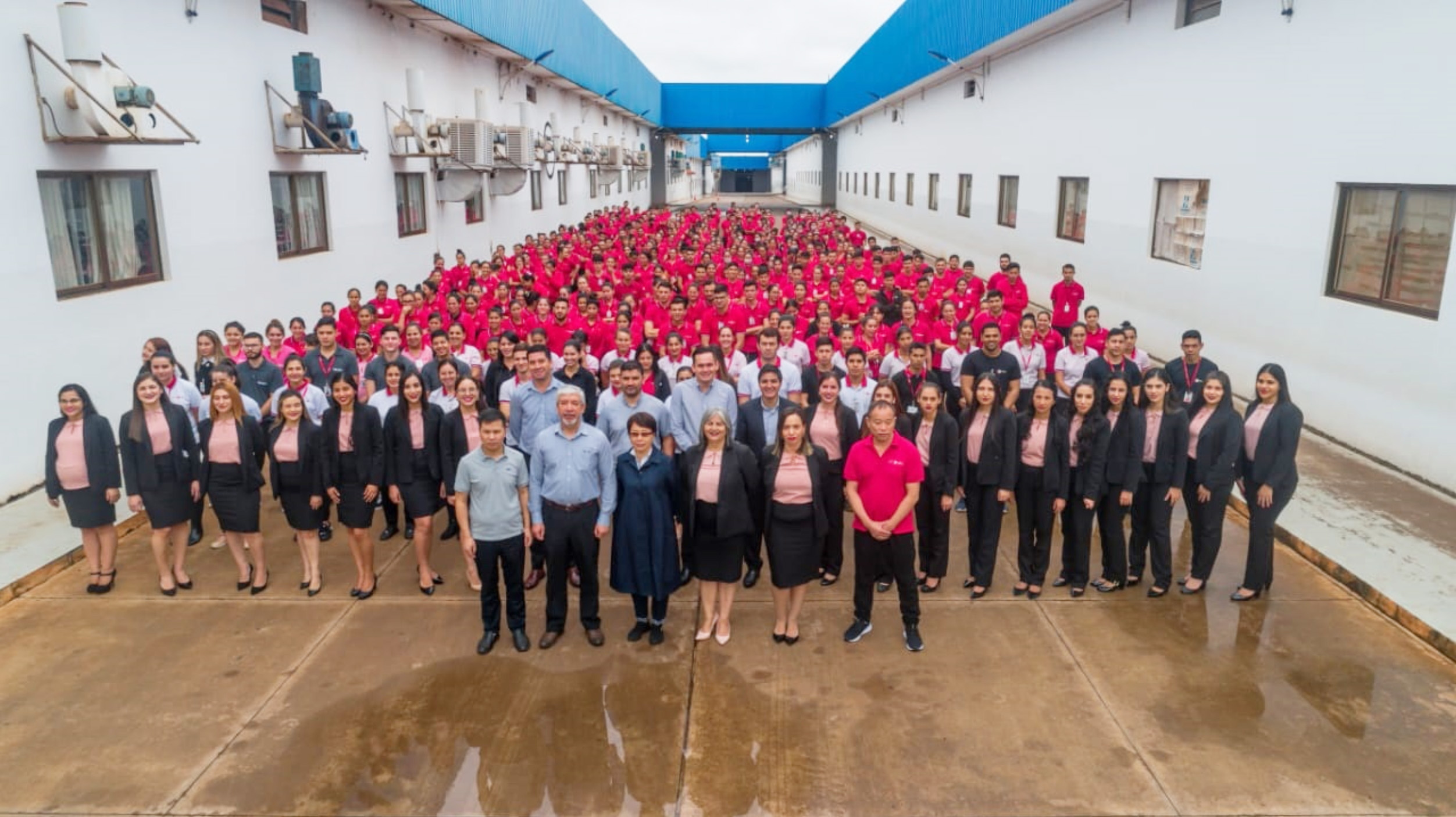 Equipo de trabajo de Hoahi S.A.