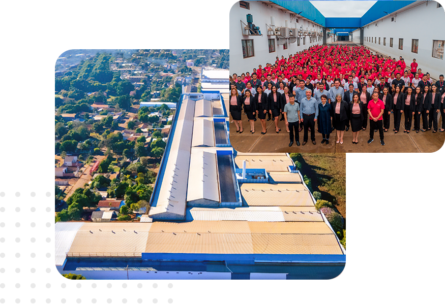 Producción en la planta de Hoahi S.A.